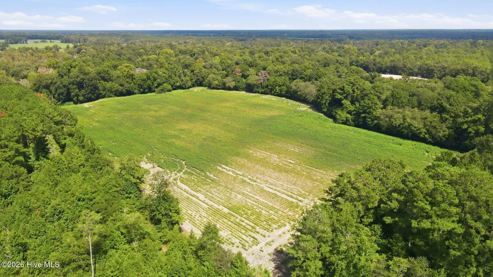 315 Heath Road Trenton, NC 28585