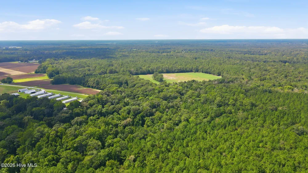 315 Heath Road Trenton, NC 28585