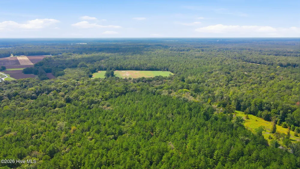 315 Heath Road Trenton, NC 28585