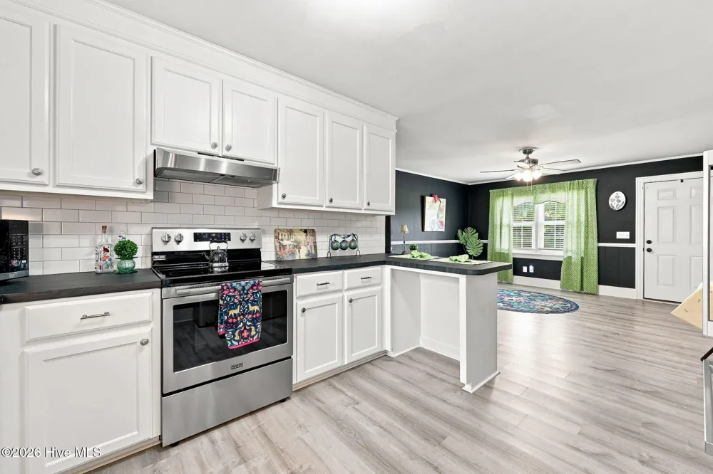 141 Hinnant Street Snow Hill, NC 28580