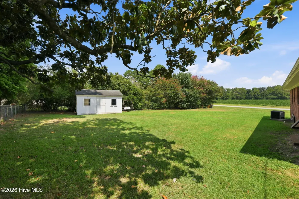 141 Hinnant Street Snow Hill, NC 28580