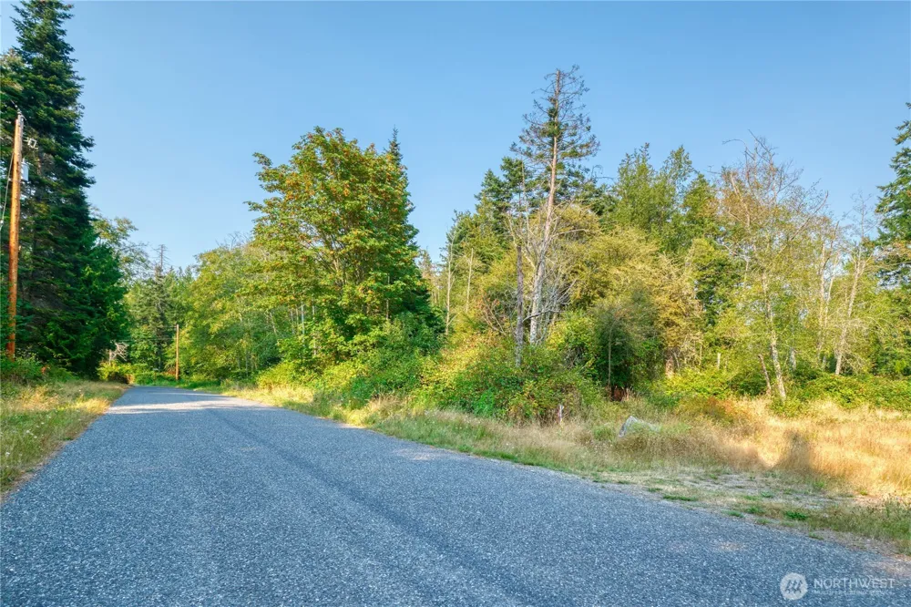 82 Massey Way Point Roberts, WA 98281