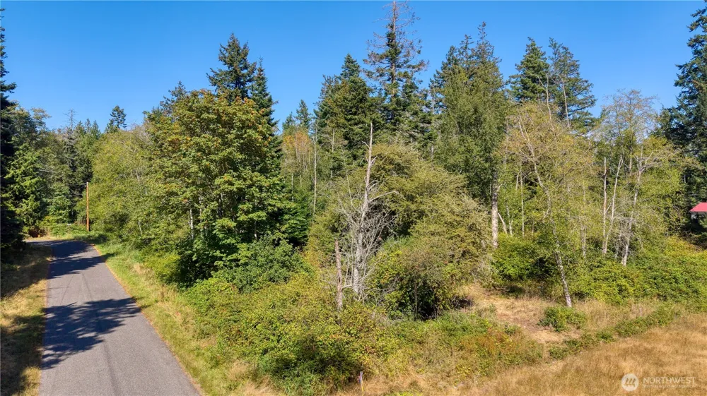 82 Massey Way Point Roberts, WA 98281