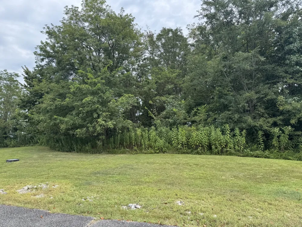 0 Shayna Ct Smithville, TN 37166