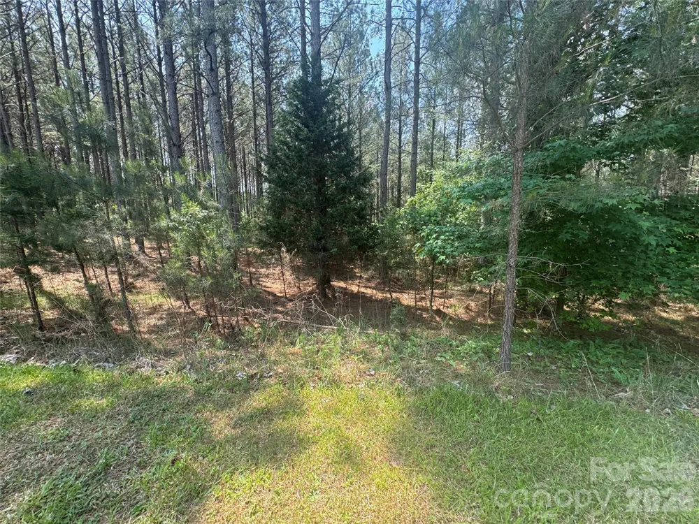 105 Stoney Brook Trail Mooresboro, NC 28114
