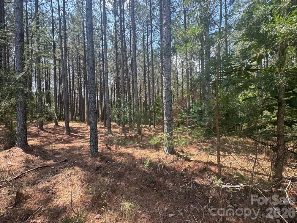 105 Stoney Brook Trail Mooresboro, NC 28114