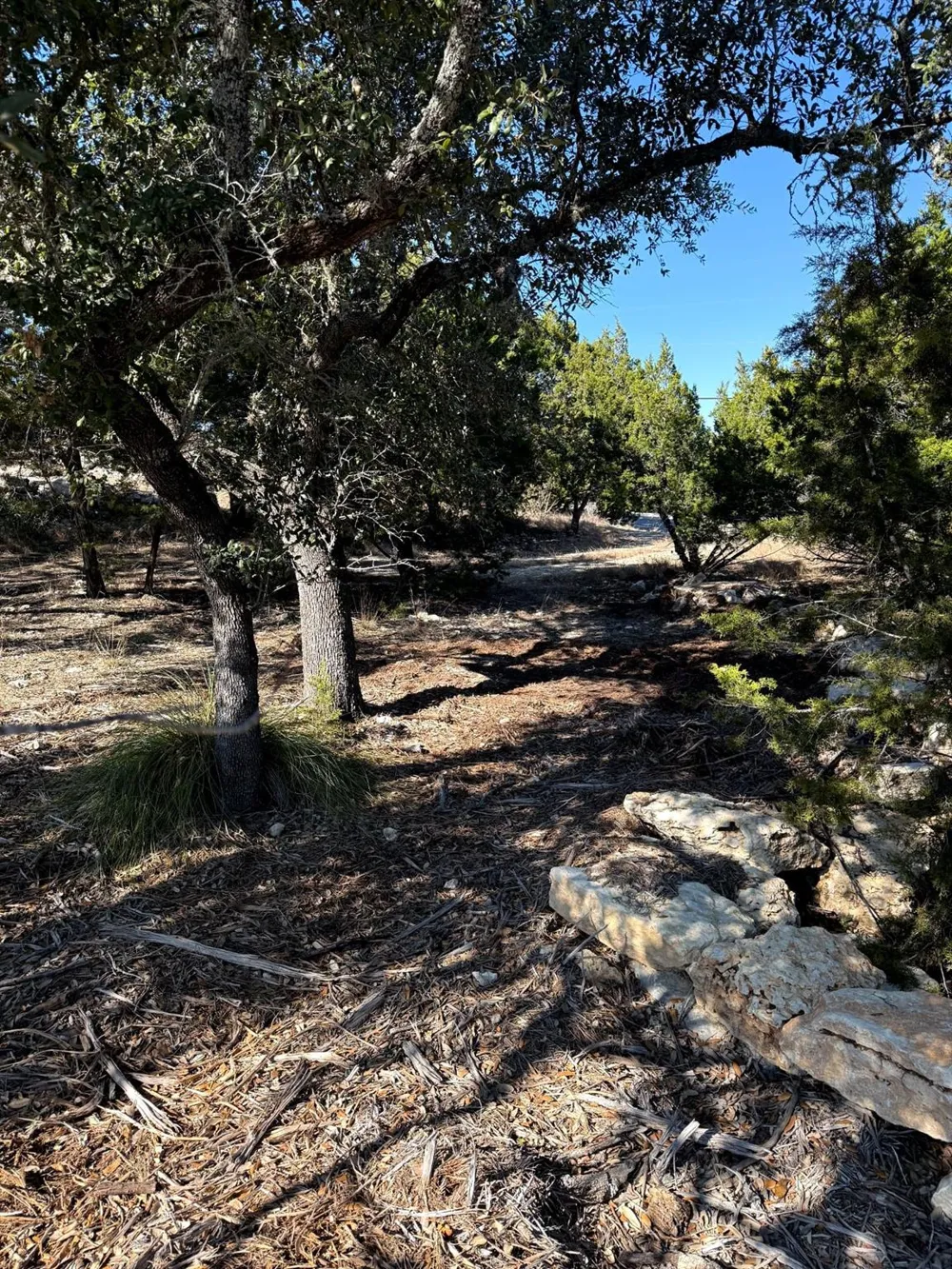 1392 Johnson Road Canyon Lake, TX 78133