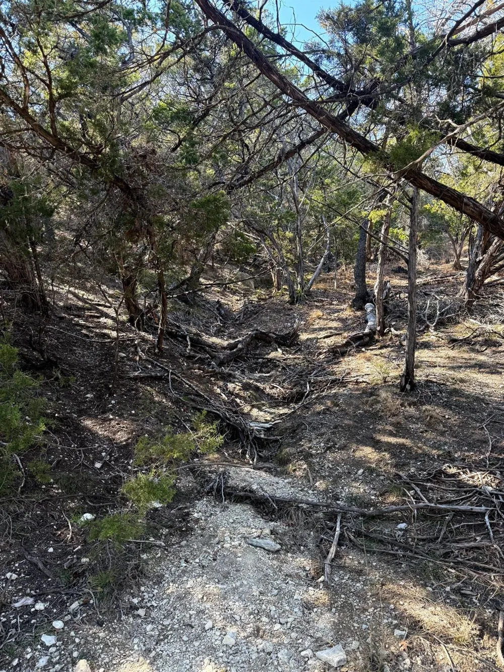 1392 Johnson Road Canyon Lake, TX 78133