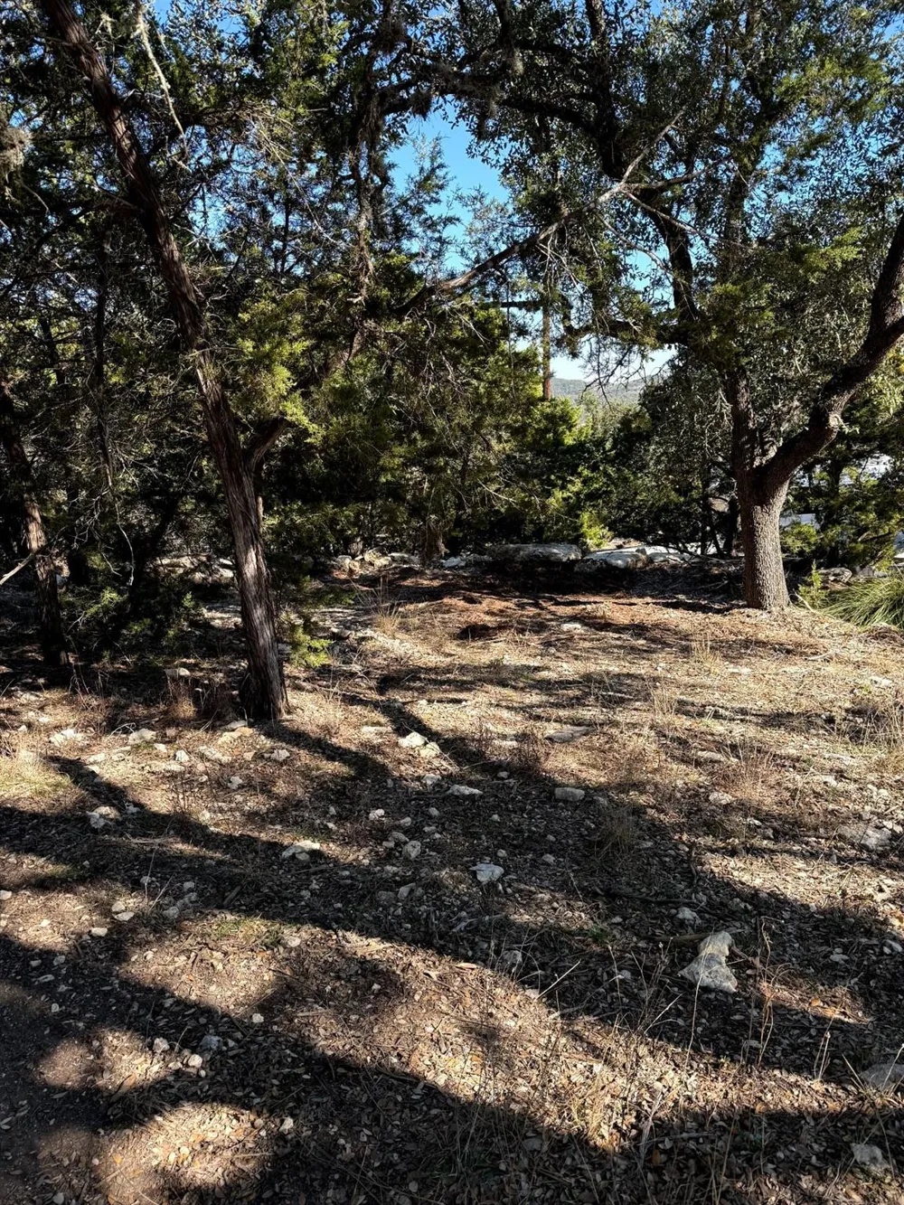 1392 Johnson Road Canyon Lake, TX 78133