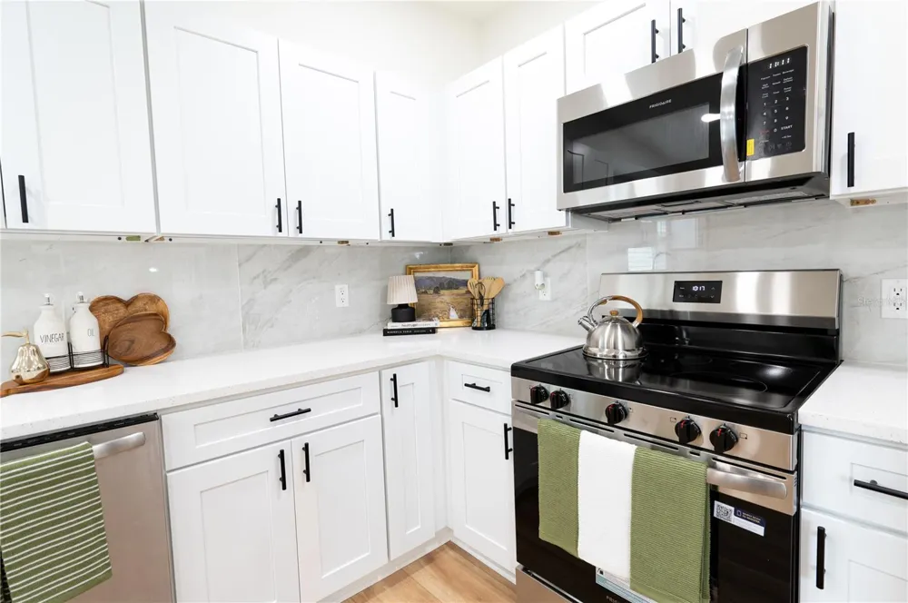1503 LANCELOT LOOP Tampa, FL 33619