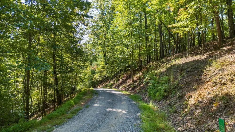 LOT 159 Tracks Hollow Murphy, NC 28906