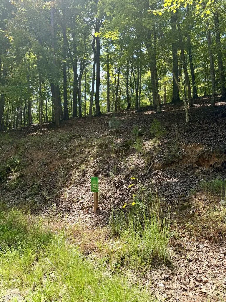 LOT 159 Tracks Hollow Murphy, NC 28906