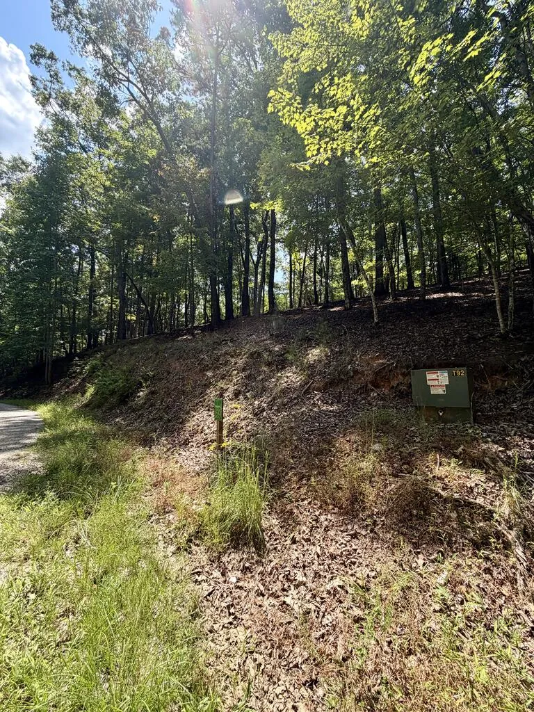 LOT 159 Tracks Hollow Murphy, NC 28906