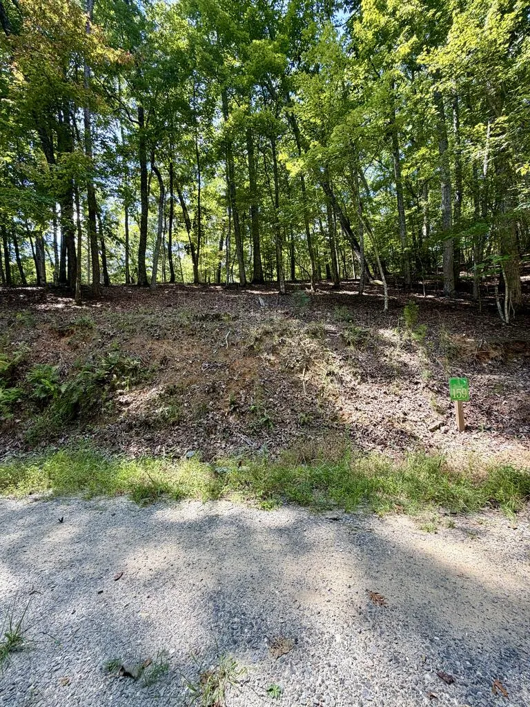 LOT 159 Tracks Hollow Murphy, NC 28906
