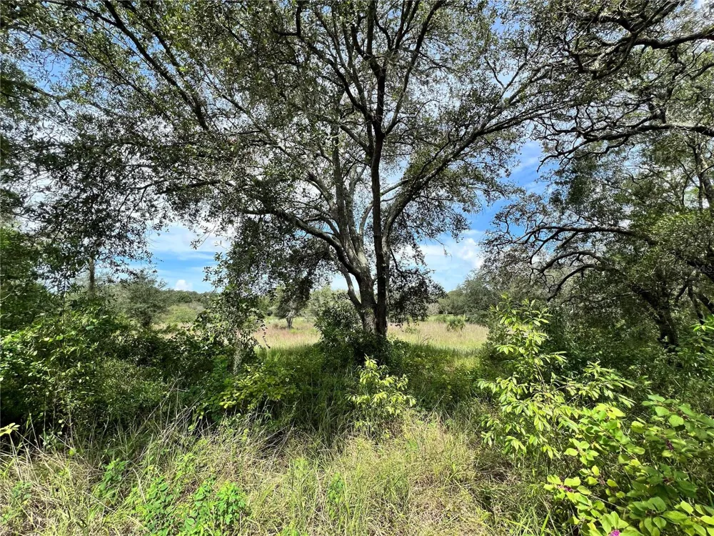 13339 VIVIAN LANE Hudson, FL 34669