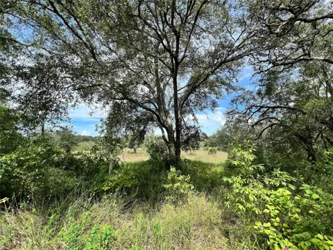 13339 VIVIAN LANE