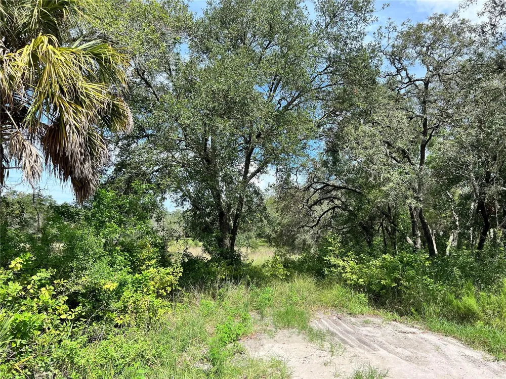 13339 VIVIAN LANE Hudson, FL 34669