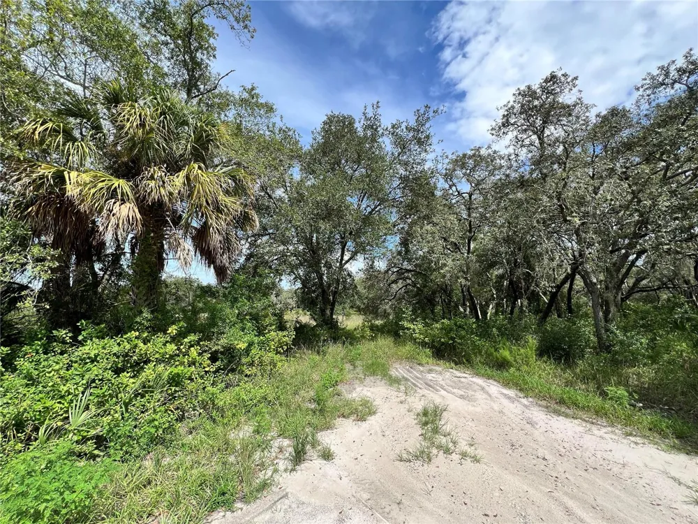 13339 VIVIAN LANE Hudson, FL 34669