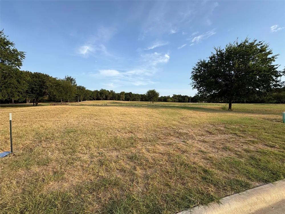 125 Dove Meadow Lane Glen Rose, TX 76043