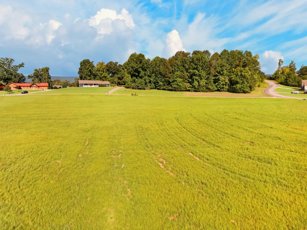 Spring Harbor Drive Spring City, TN 37381