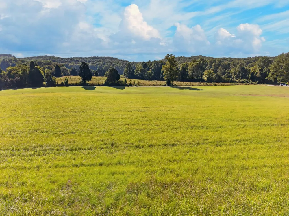 Spring Harbor Drive Spring City, TN 37381