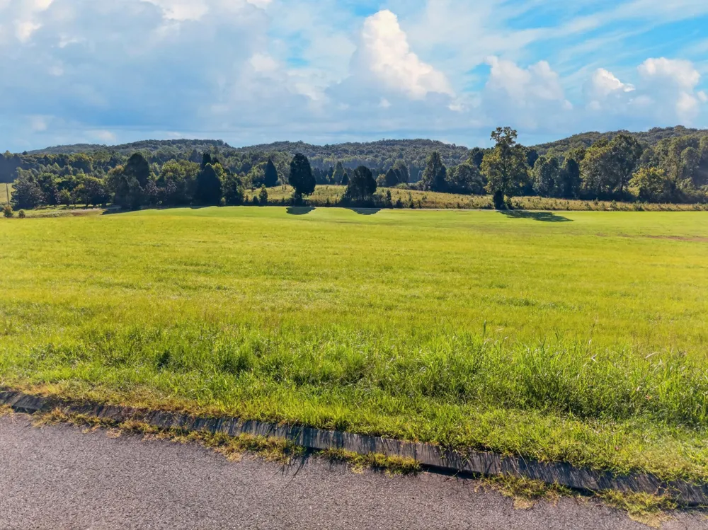 Spring Harbor Drive Spring City, TN 37381