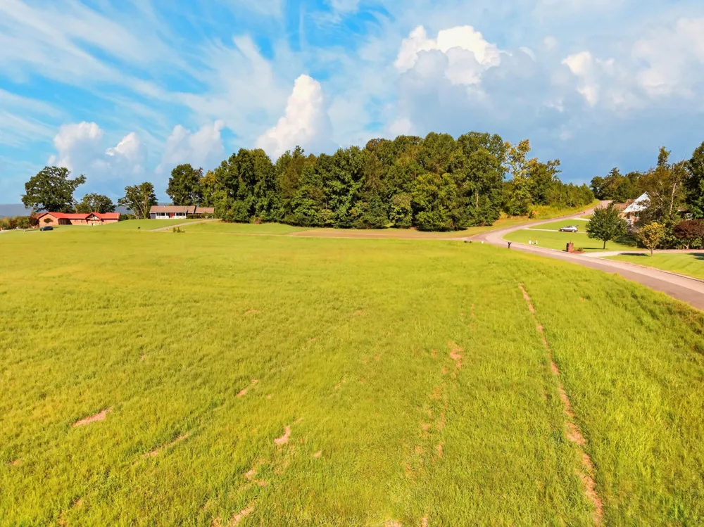 175 Spring Cove Lane Spring City, TN 37381