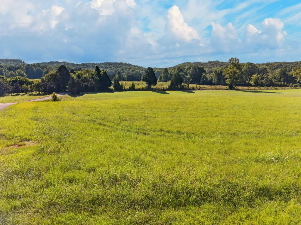 175 Spring Cove Lane Spring City, TN 37381