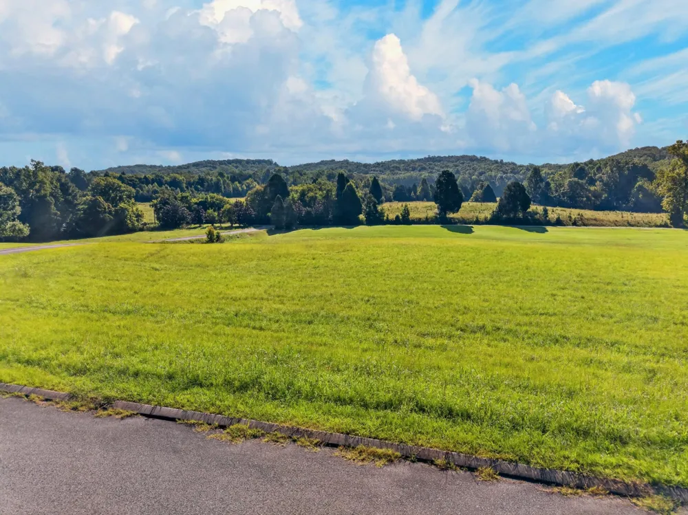 175 Spring Cove Lane Spring City, TN 37381