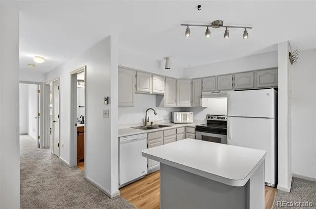 30675 Sun Creek Drive #L Evergreen, CO 80439