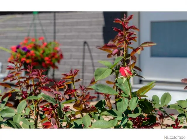 1145 Claremont Drive Boulder, CO 80305