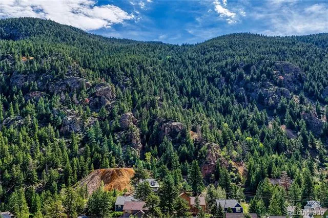 1114 Griffith Street Georgetown, CO 80444