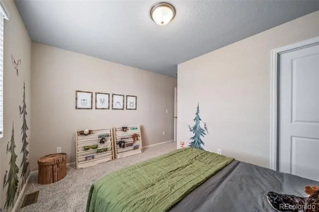 21842 E 46th Place Aurora, CO 80019