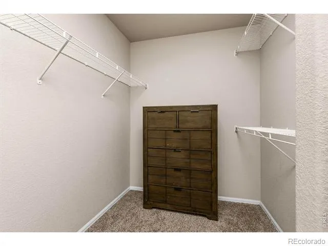 805 Mt Sneffels Avenue Severance, CO 80550