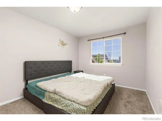 805 Mt Sneffels Avenue Severance, CO 80550