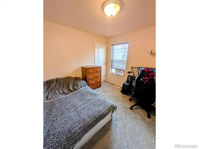 4333 Paintbrush Drive Evans, CO 80620