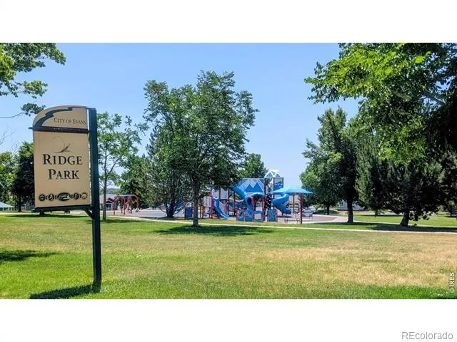 4333 Paintbrush Drive Evans, CO 80620