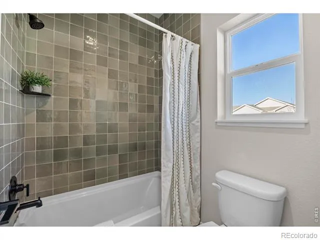 7188 Rye Grass Drive Wellington, CO 80549