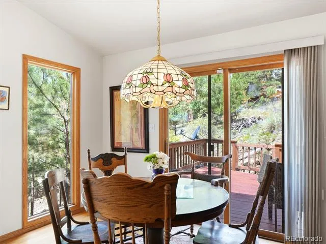 74 Badger Lane Bailey, CO 80421