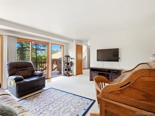 74 Badger Lane Bailey, CO 80421