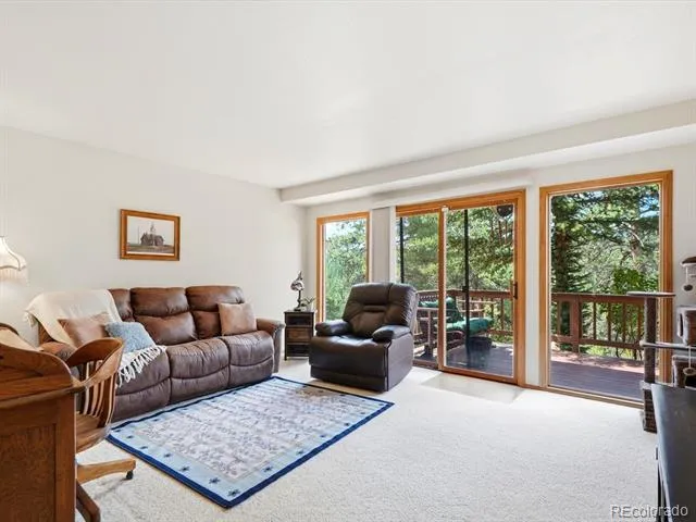 74 Badger Lane Bailey, CO 80421