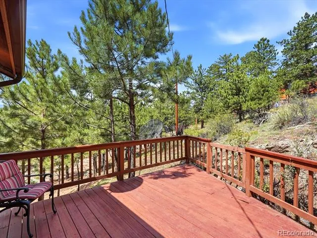 74 Badger Lane Bailey, CO 80421