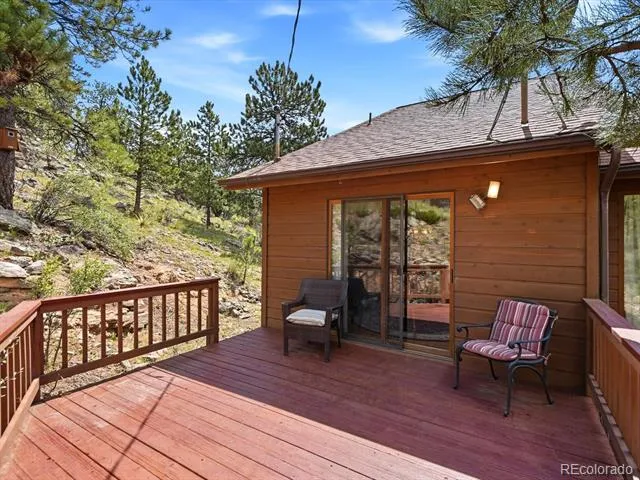 74 Badger Lane Bailey, CO 80421