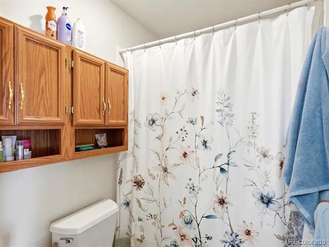 74 Badger Lane Bailey, CO 80421