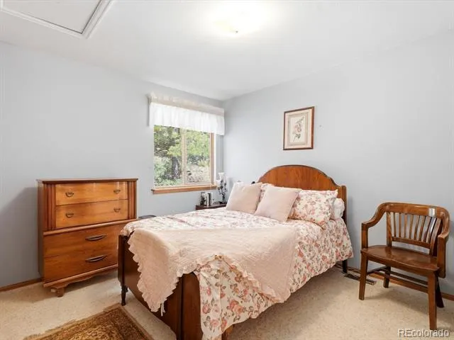 74 Badger Lane Bailey, CO 80421