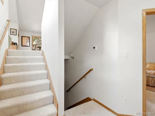 74 Badger Lane Bailey, CO 80421