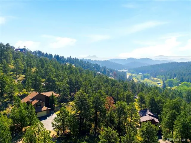 74 Badger Lane Bailey, CO 80421