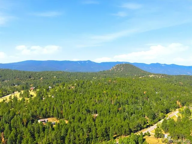 74 Badger Lane Bailey, CO 80421