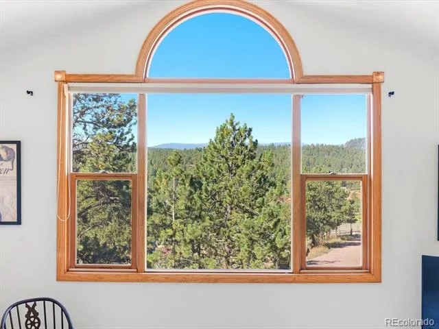 74 Badger Lane Bailey, CO 80421