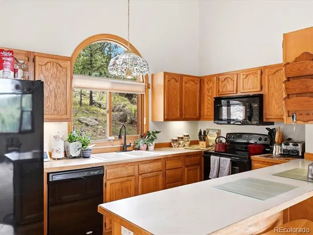 74 Badger Lane Bailey, CO 80421